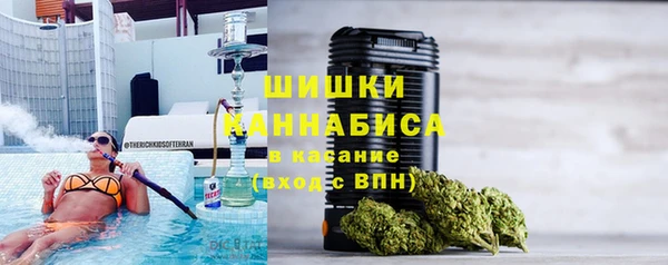 хмурый Горняк