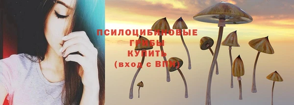 СК Горно-Алтайск