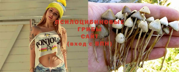 spice Горнозаводск