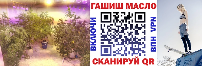 ТГК вейп с тгк  Купить где  Каргополь 