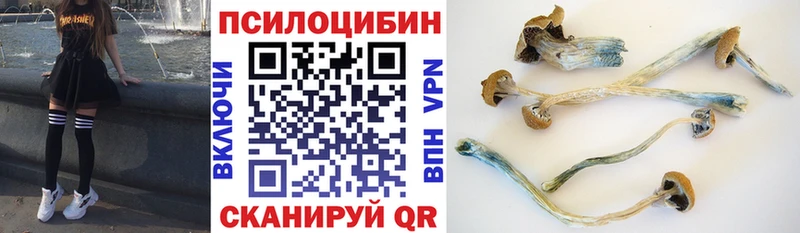 Купить  Каргополь  Галлюциногенные грибы Cubensis 